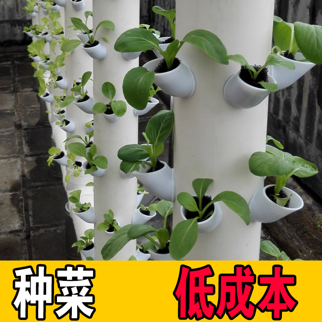 立柱定植杯蓝家庭管道气雾机培设备无土栽培蔬菜水培阳台种菜设备-图0