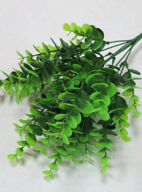 植物树叶田园家居绿萝插花波斯草