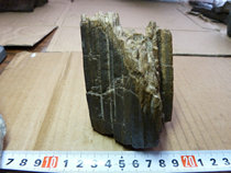 8103 the surface silicated wood of the Hama Great South Lake in Xinjiang 8103