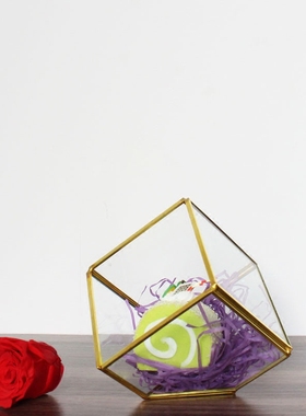 玻璃罩几何多肉永生花礼盒工艺品