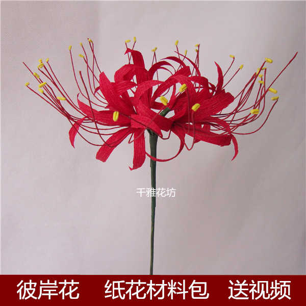 石蒜曼珠沙華 新人首單立減十元 22年2月 淘寶海外