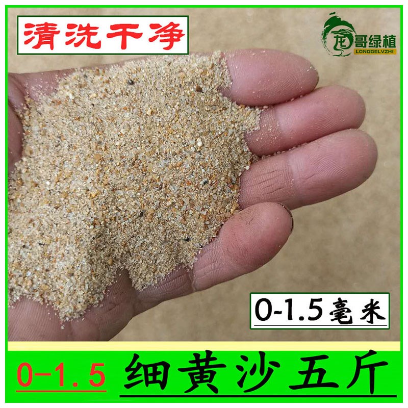 粗河沙花用粗沙粒细沙种植鱼缸y底铺面宠物蚂蚁珍珠岩养花用大颗 - 图0