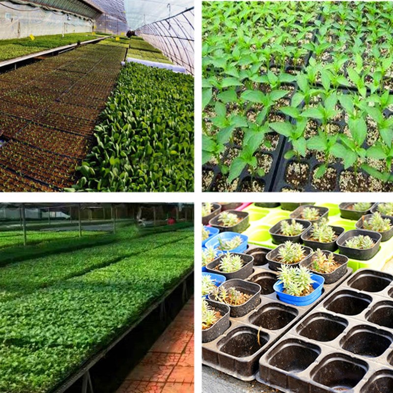 Top quality 50Holes Plastic Cells Seedling Starter Trays Pla-图2