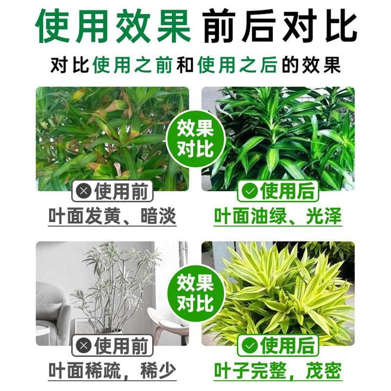 推荐百合竹肥料专用土磷肥治叶子发黄掉叶烂根焦尖枯萎病免稀释营 - 图1