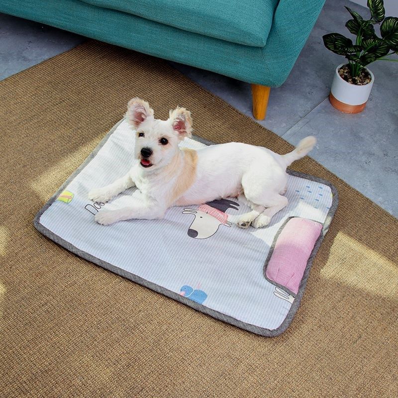 狗狗窝垫子睡觉用夏天冰丝凉席睡垫猫咪凉垫地垫耐咬夏季宠物冰垫,淘宝优惠券,粉丝福利购,淘宝优惠卷