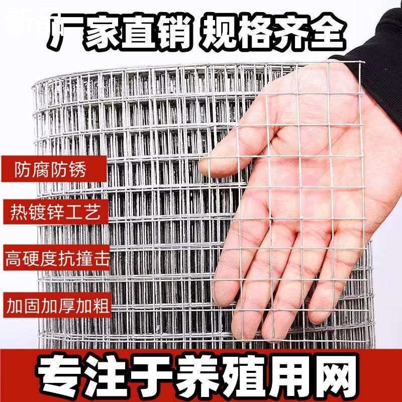 热镀锌铁丝网围栏养殖护栏网养鸡钢丝网防鼠加粗电焊网抹灰新品,淘宝优惠券,粉丝福利购,淘宝优惠卷