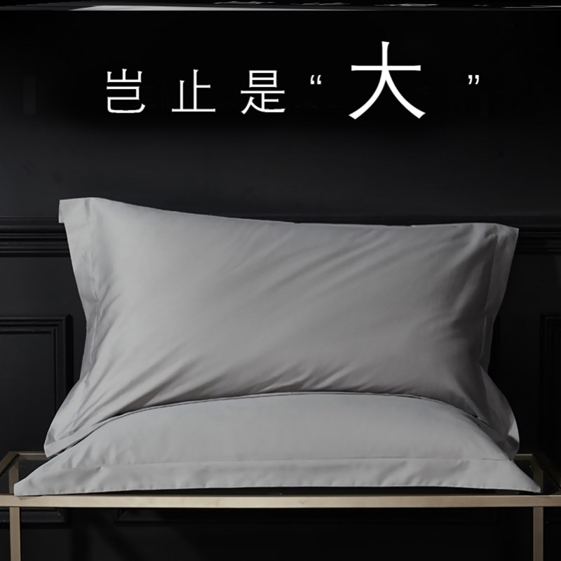 大尺寸50x80酒店用60x90大枕套纯棉100全棉一对装48cmx74cm65x85 - 图0