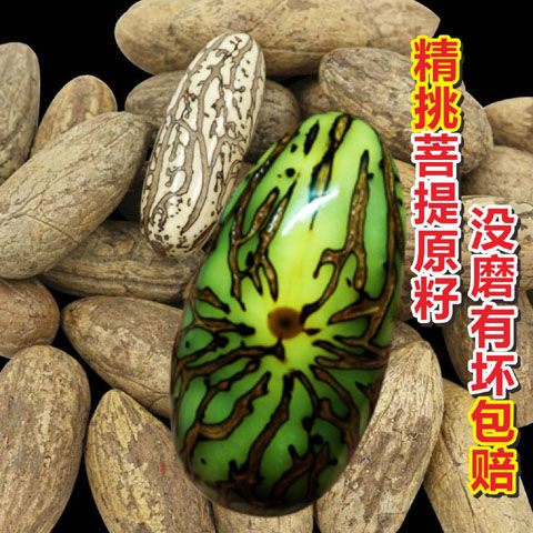 新品千眼菩提子原籽原料佛心果文玩手串佛珠金刚菩提子原果