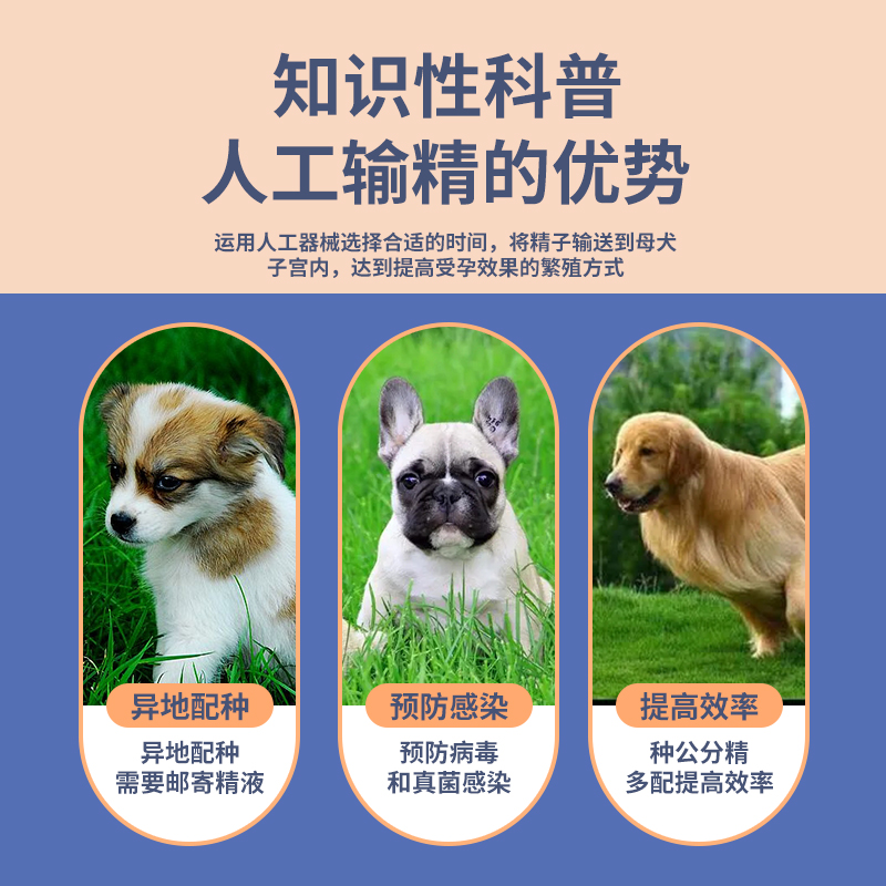 推荐犬用输精配种管狗狗输精管一次性人工授精狗用采精工具兽用配 - 图1