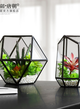 现代简约玻璃罩摆件防尘透明创y意客厅桌面家居装饰品微景观展示