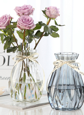 创意简约透明水培玻璃花瓶水养绿萝百合鲜花干花插花瓶客厅摆