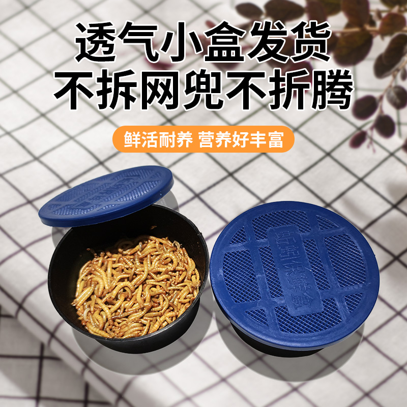 小盒发货面包体黄活虫粉虫蜘蛛蝎子乌Q龟守宫角蛙鸟活饵 - 图2