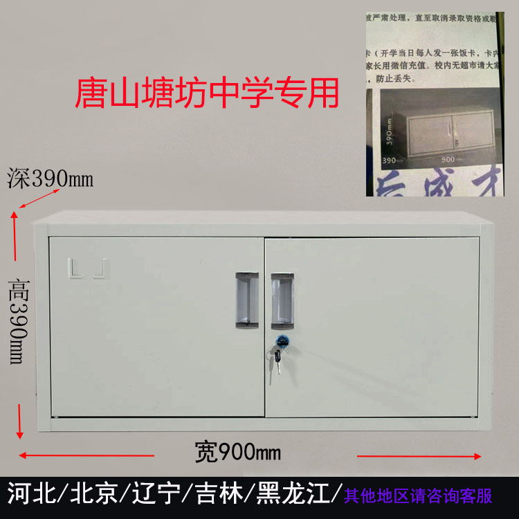 单节柜一层铁皮顶柜财务室文件凭证资料柜学生员工宿舍床下储物柜-图1