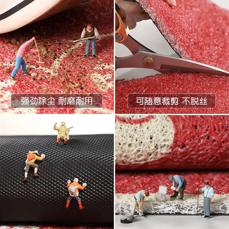 地垫入户门垫进门门口脚垫家用网红门外2022新款玄关塑料丝圈地毯,淘宝优惠券,粉丝福利购,淘宝优惠卷