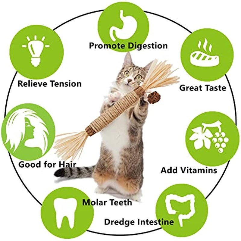 t Cat  ooden Polygonum Swtick LafiteWGrass Cat Toy Molar - 图0