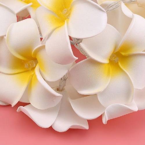 速发New Frangipani Lamp LED String Lights Fairy Light Garlan-图3