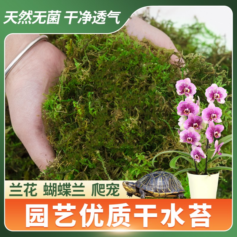 干苔藓蝴蝶兰专用营养土无菌水苔兰花石斛纯天然青苔爬宠乌龟垫材-图0