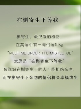 工厂销槲寄生999足银情侣戒x指一对小众开口素圈对戒情人节礼物送
