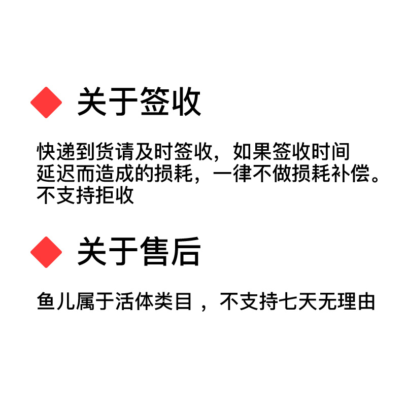 天淡鱼精品观赏鱼小型热带鱼使水鱼七彩斑L马鱼孔雀鱼好养耐活鱼-图1