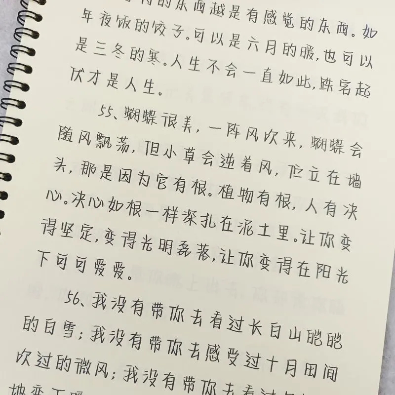 董yu辉语录行楷体鲸落体练字帖女生字体硬笔手写体奶酪体情书体