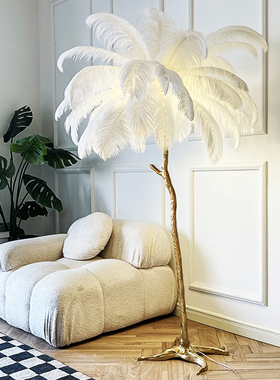 羽毛落地灯全铜台灯现代客厅沙发创意网红轻奢装饰卧室床头羽毛灯