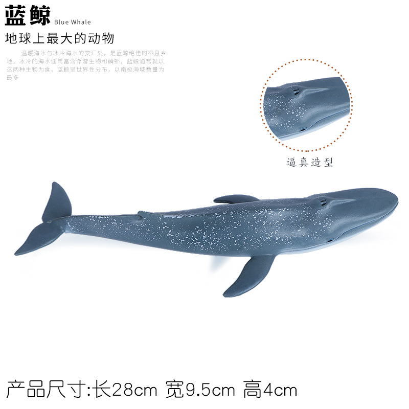 极速Simulation of Marine Life Shark Toy Whale Animal Model - 图2