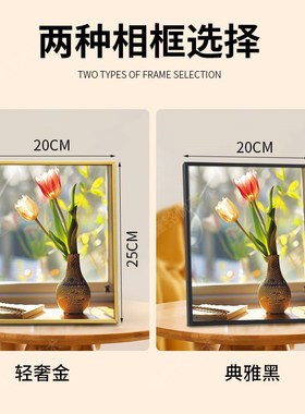 植物花卉装饰画桌面摆件玄关电视柜客厅摆件画轻奢点缀