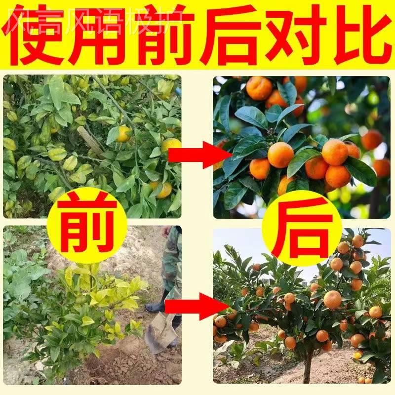 推荐【十年不黄化】黄化病专用药柑橘橙子黄叶黄斑果树黄华症水溶 - 图1