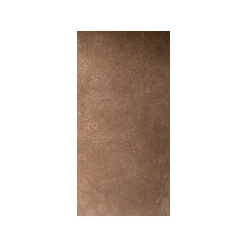 美拉德棕色质感仿古砖客厅餐厅民宿地砖卫生间墙砖600X1200瓷砖,淘宝优惠券,粉丝福利购,淘宝优惠卷