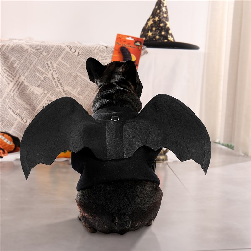 t Dtgs CatsoBat Wings tfor Halloween Paroy Decorati n Pet - 图0