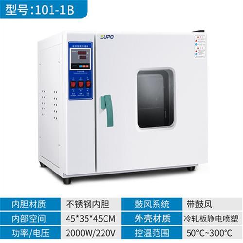 z电热恒温鼓风干燥箱实验室试验高温小型烤箱烘箱工业烘干机 内部