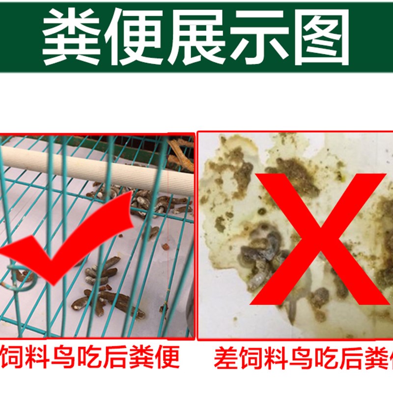 极速鹩哥鸟食饲料八哥鸟食饲料鹩哥食繁殖饲料肥膘5斤桶装营养鸟-图1