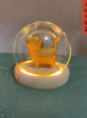 透明玻璃木头灯罩底座带灯电池款摆件展示台复古防尘罩氛围感礼物