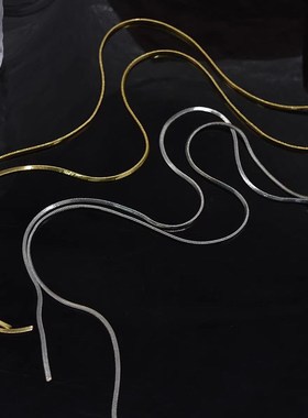 欧美时尚抽拉长款项链女小众轻奢设计高级感蛇骨T链简约百搭毛衣