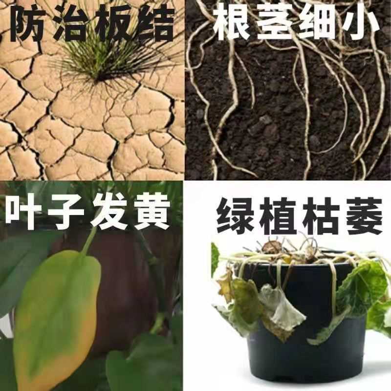 松土精通用型土壤改良剂疏松剂调理剂免深耕调理剂抗重茬保水保肥-图3