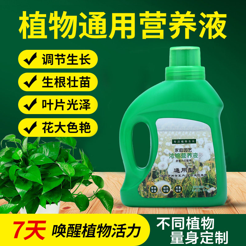 绿萝营养液花卉肥料盆栽通用型水培植物富贵竹养花发财树园艺肥料 - 图0