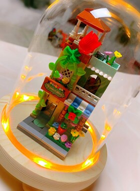 9WOR发光花玻璃罩防尘罩手办模型干G花透明灯罩展示盒家居饰品摆