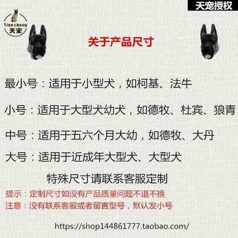 宠物支架狗狗夏季德牧耳贴耳朵立耳贴狗狗狗矫正器给狗立耳竖 - 图1