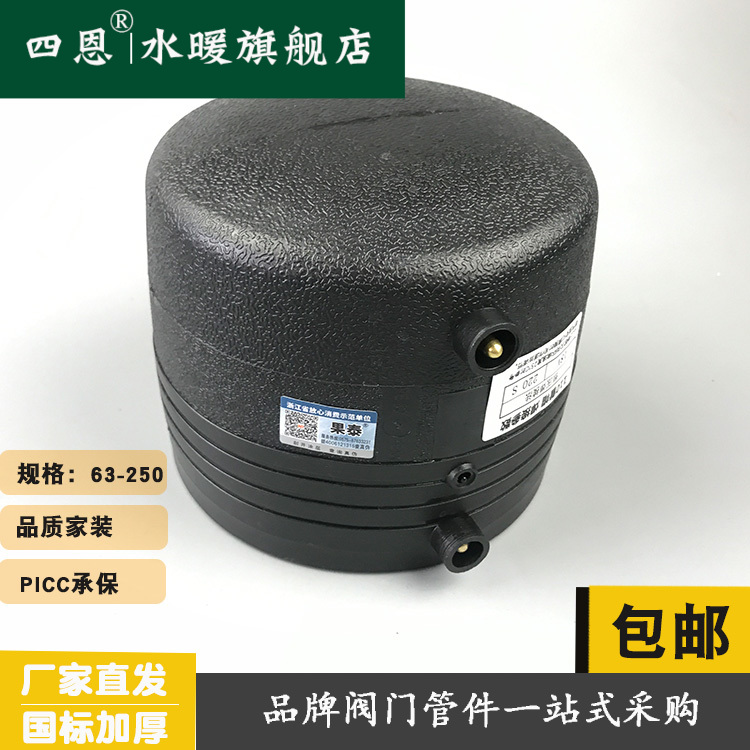 网骨架管PE电熔堵件水管管头PE接电熔管头管堵75 110 Z160 2 - 图2