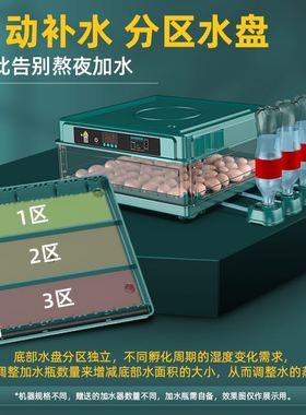 芦丁鸡孵化小小i型家用孵蛋鸡的机器孵化机全自动智能孵器器孵化