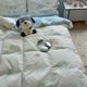 Li Meng Blue Sweet Star Cute Washed Cotton Four Y-Piece Set Full Cotton Bed Sheet Quilt Cover Bedding