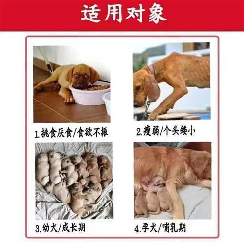 狗狗快速增肥长肉发腮开胃增食欲C挑食不爱吃饭狗粮益生菌调理肠