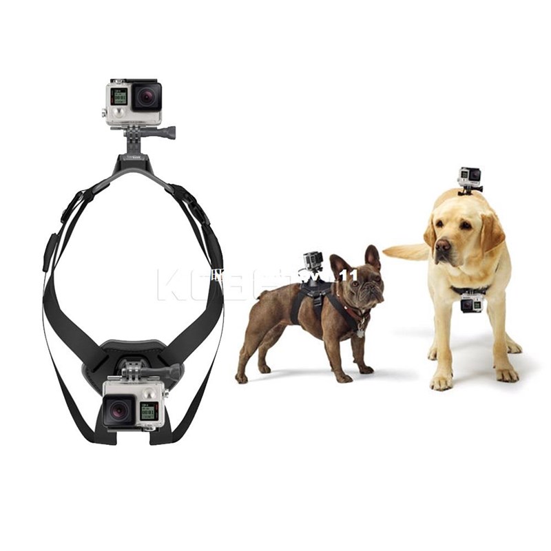 DogdFetch Harness Chest StrapD Belt Mount A justable F - 图1