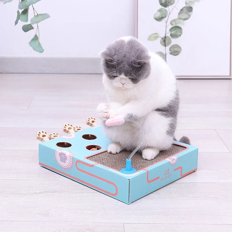 推荐Cat Toy Chase Hunt Mouse Cat Game Box 3 in 1 with Scratc - 图3