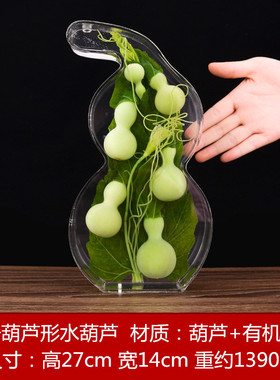 现货天然葫芦植物瓶子水生保鲜四季水养家居摆R件客厅办公室装饰