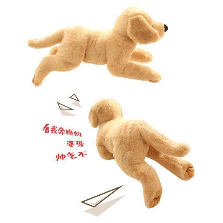 狗泻火玩具公狗泄火耐咬大型犬解闷玩偶伴侣宠物用品狗狗玩具,淘宝优惠券,粉丝福利购,淘宝优惠卷