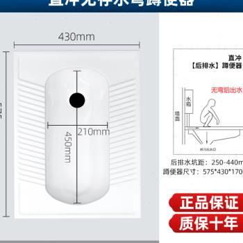 高档纳柯家装用陶蹲便器冲v水箱整套莫大便器化妆室防瓷臭蹲坑 - 图0