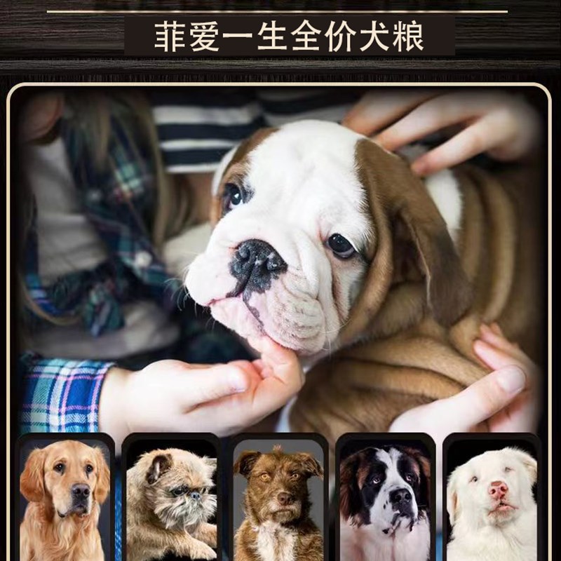 菲爱一生全犬期通用狗食5斤袋装小型犬幼犬成犬补充营养泰迪专用 - 图2