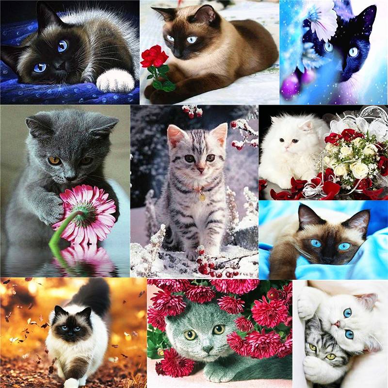 推荐Zhui star DIY diamond painting cat cross stitch needlewo - 图0