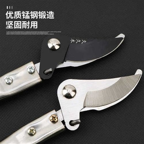 新款高枝剪不锈钢修枝剪刀果枝剪疏花稀果剪苗木高空剪园艺剪园林 - 图0